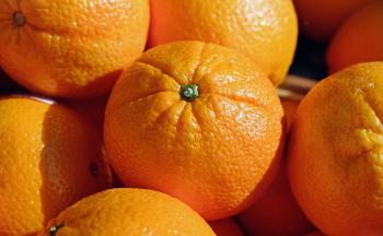 Appelsinhud